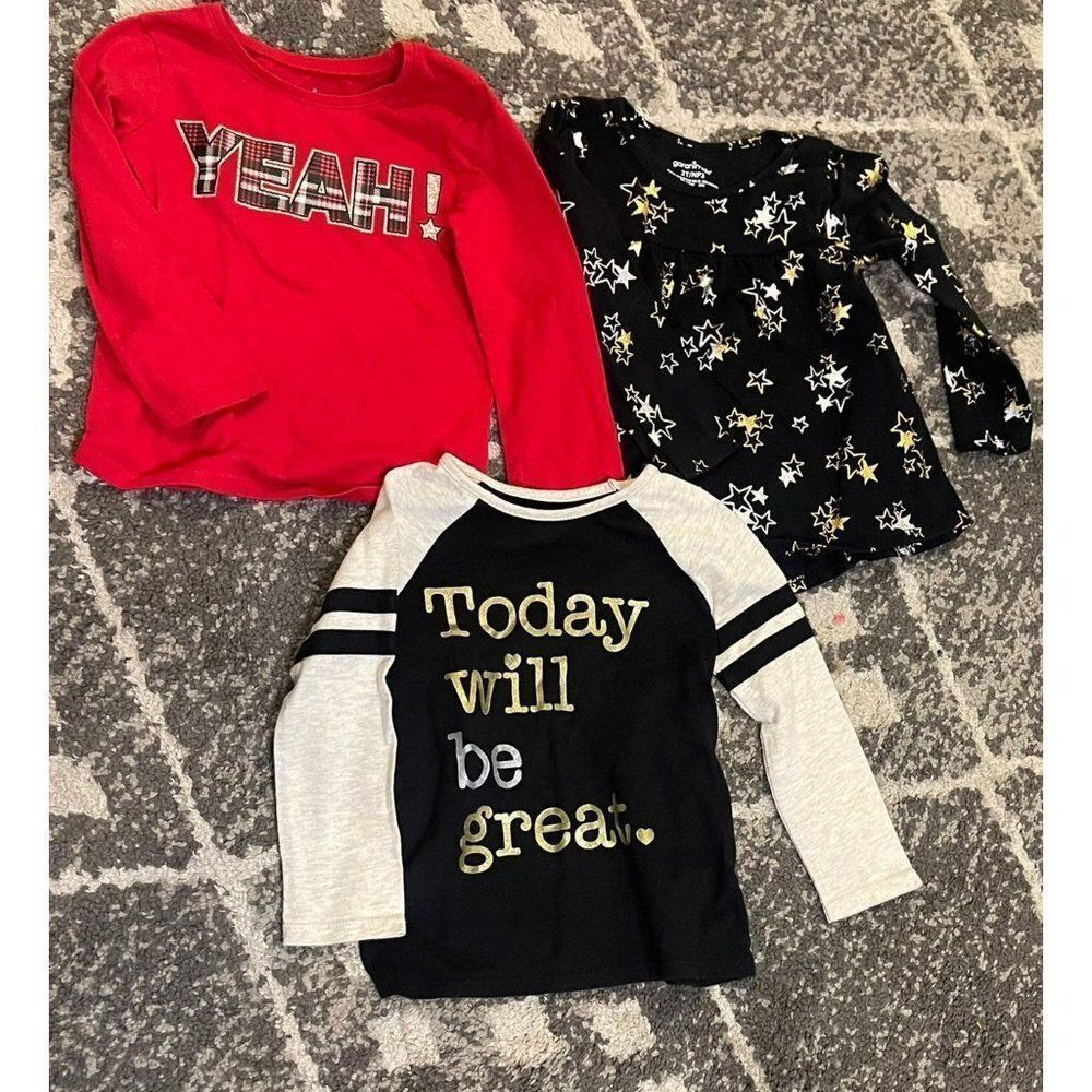 Girls 2T shirt Bundle Long Sleeve